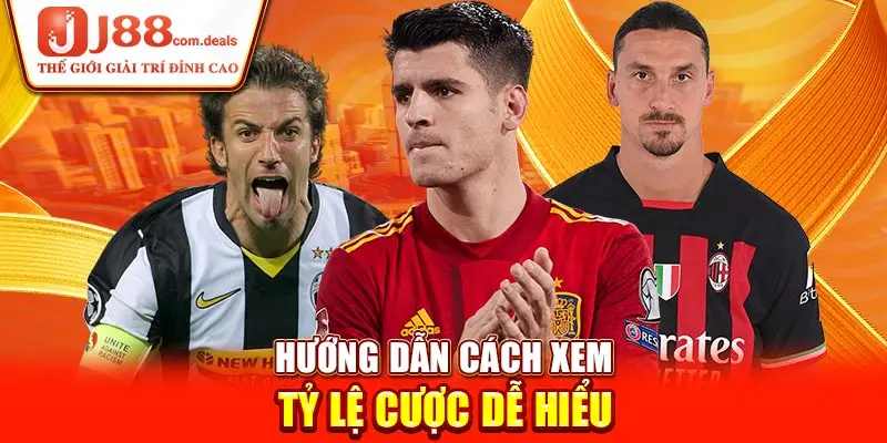 Hướng dẫn cách xem tỷ lệ cược dễ hiểu