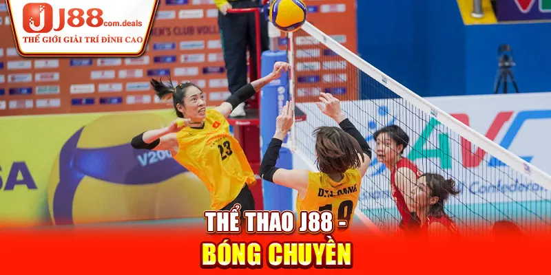 Thể thao J88 - Bóng chuyền